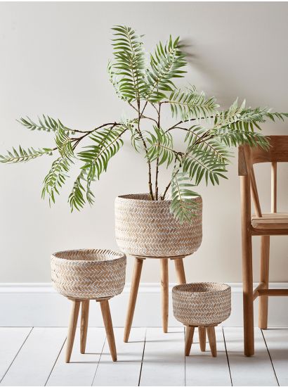 The Perfect Decorative Pots for Enhancing Indoor Plants: A Guide to Choosing the Right Size and Design