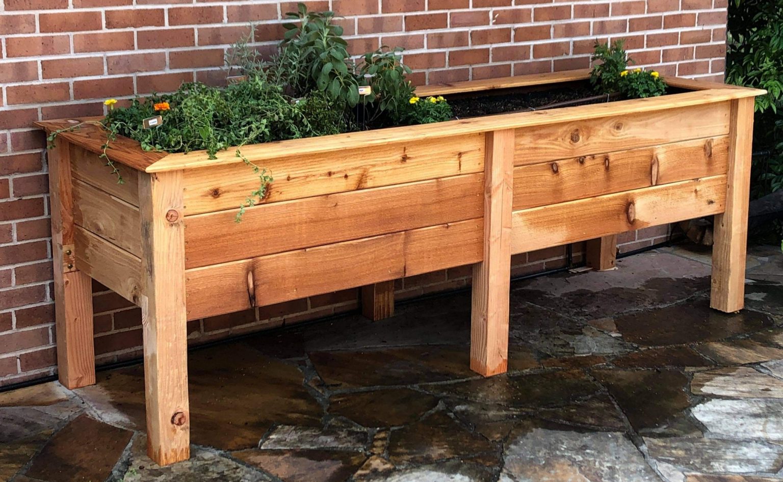 The Benefits of Elevated Raised Garden Beds: Enhancing Your Gardening Experience