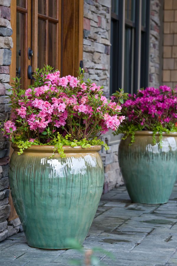 The Beauty of Large Flower Pots: Enhancing Your Garden with Stylish and Spacious Containers