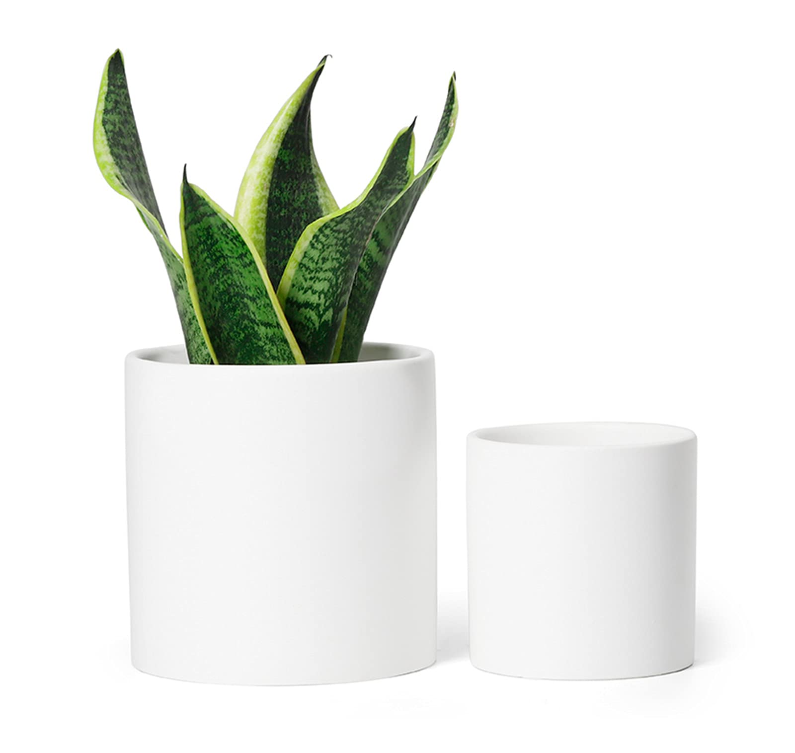 The Versatile Charm of White Plant Pots: Elevate Your Interior Décor with Simplicity