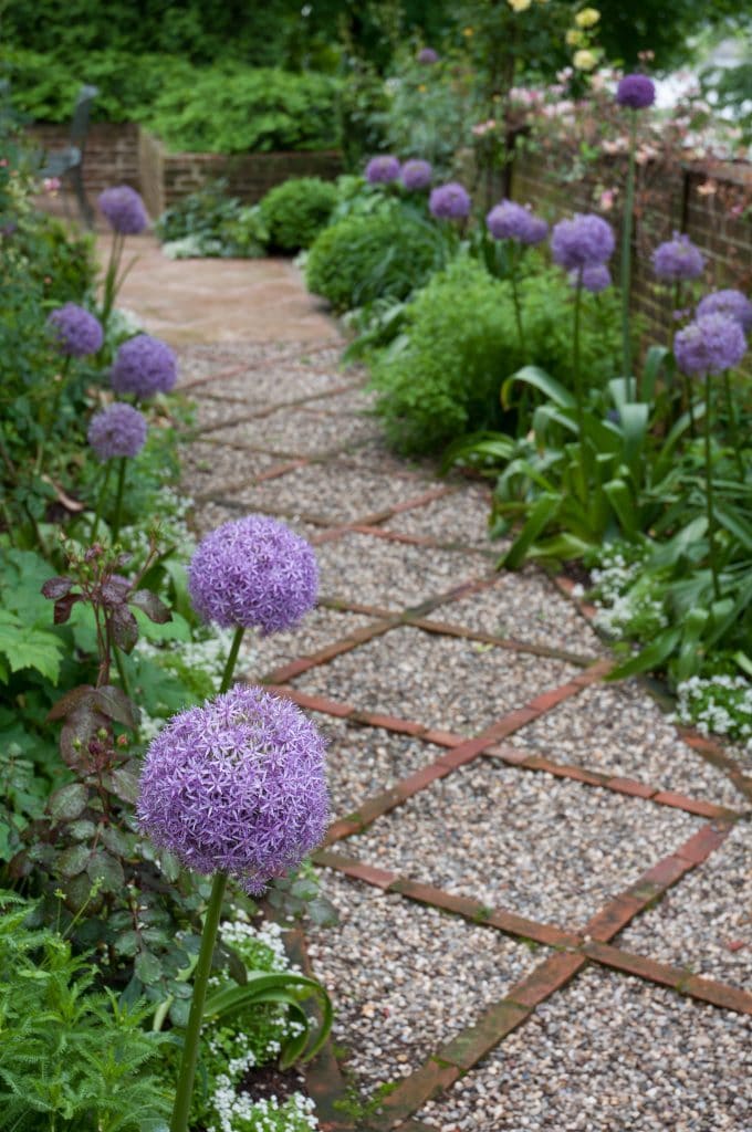 The Beauty of Globemaster Allium: A Guide to Its Majestic Blooms