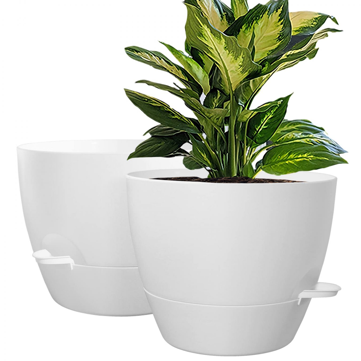 The Benefits of Large Plastic Plant Pots: A Guide for Garden Enthusiasts