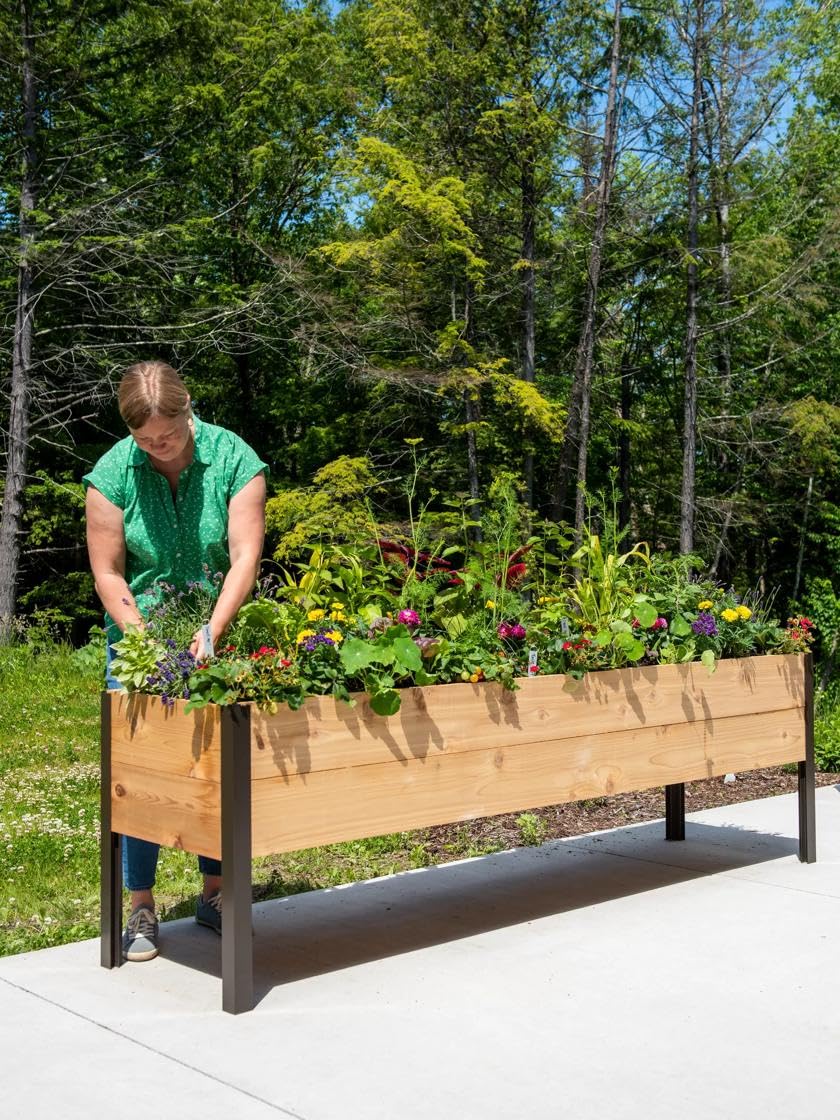 Enhance Your Garden's Appeal with Above Ground Planter Boxes: A Complete Guide