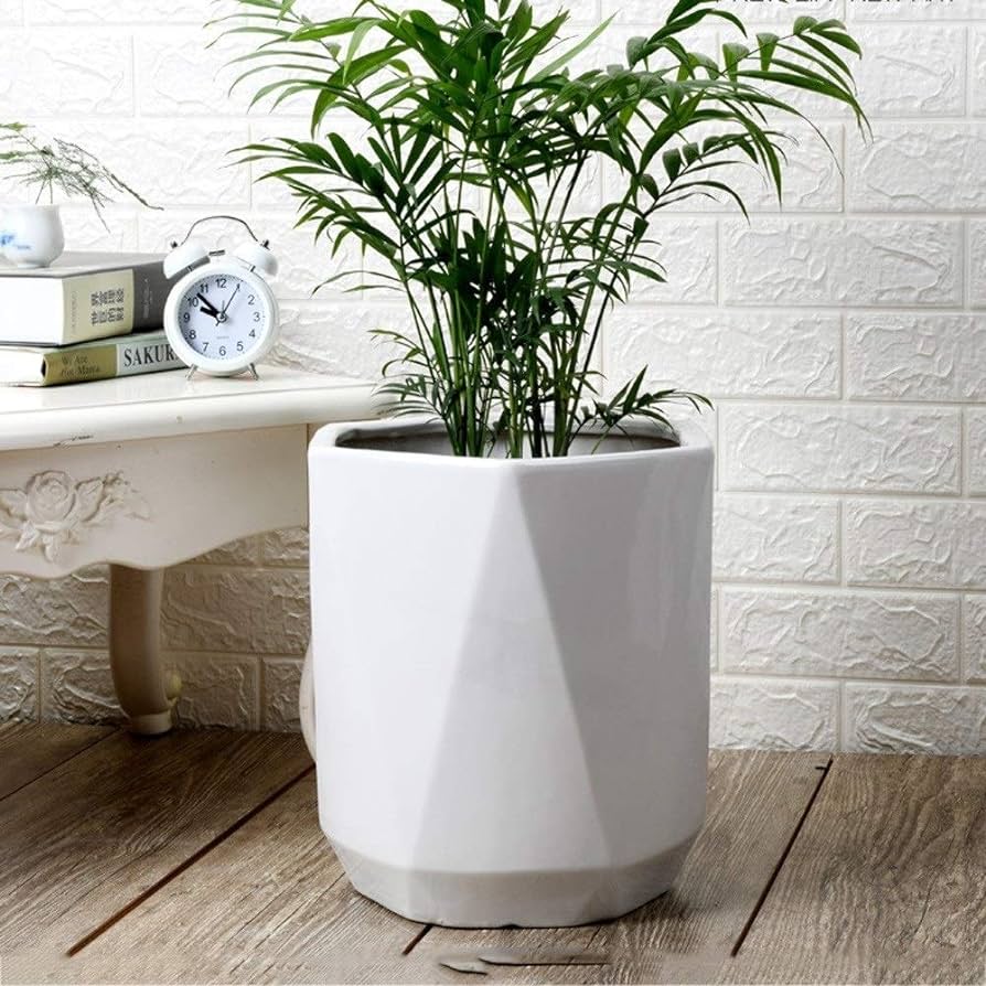 Enhance Your Interior with Extra Large Indoor Plant Pots: An Essential Guide