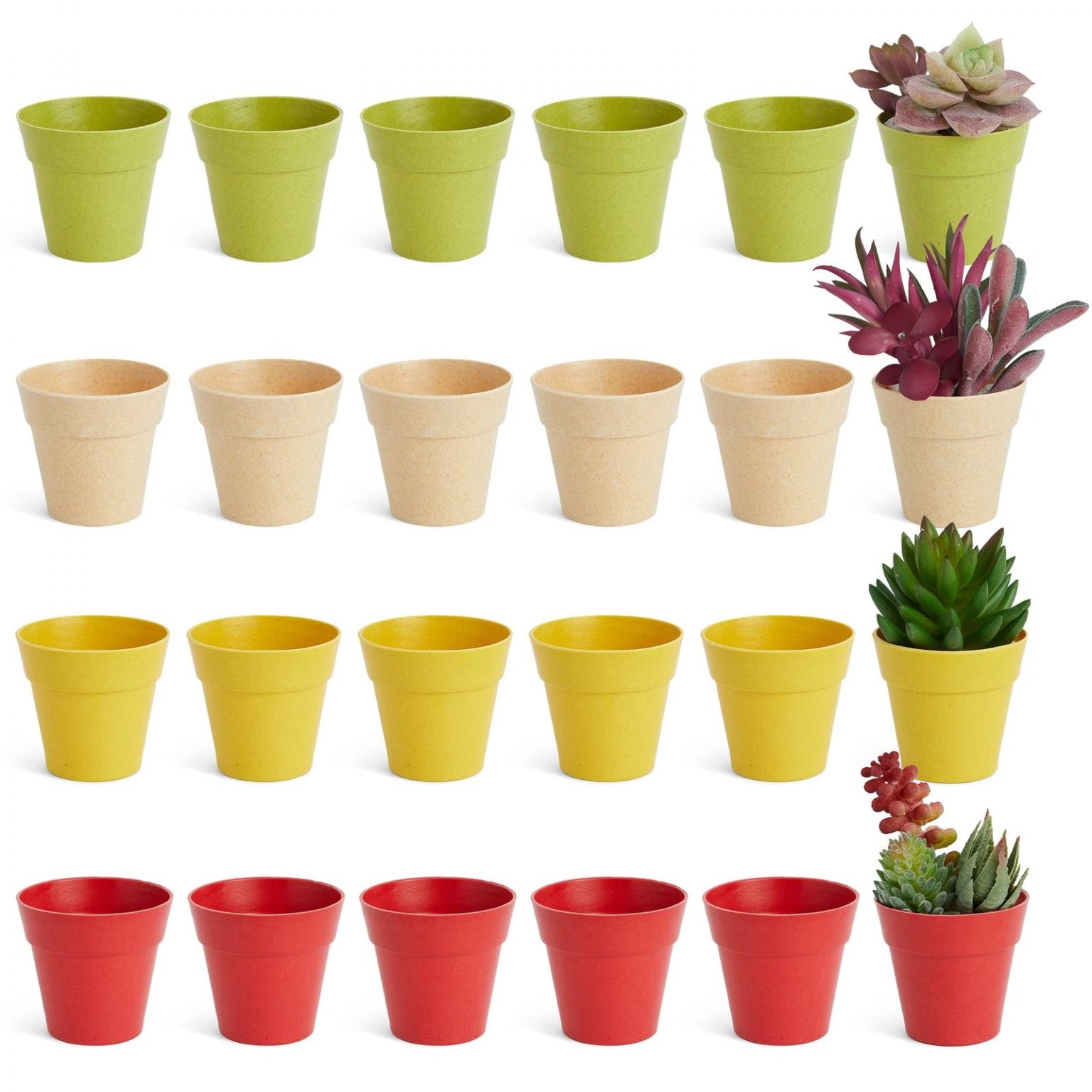 The Benefits of Using Plastic Plant Pots for Your Indoor and Outdoor Gardens