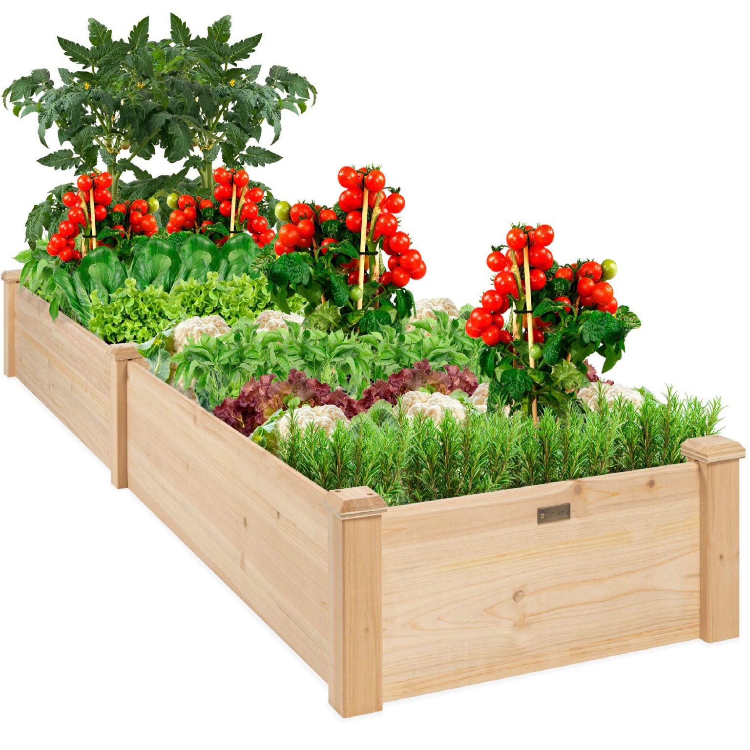 The Benefits of Using Raised Garden Boxes for Your Homegrown Vegetables