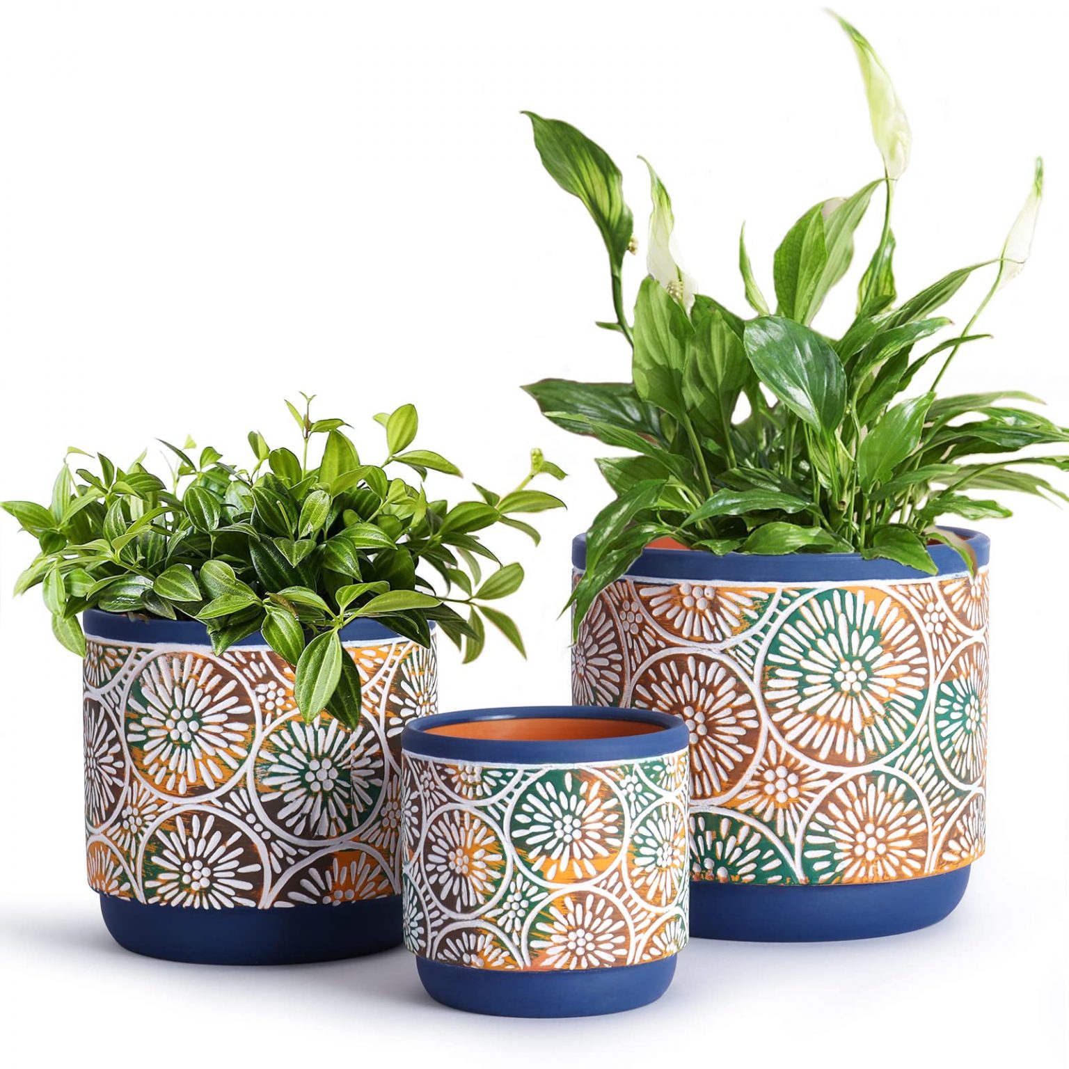 The Beauty and Versatility of Ceramic Plant Pots: Enhancing Your Greenery with Style and Function