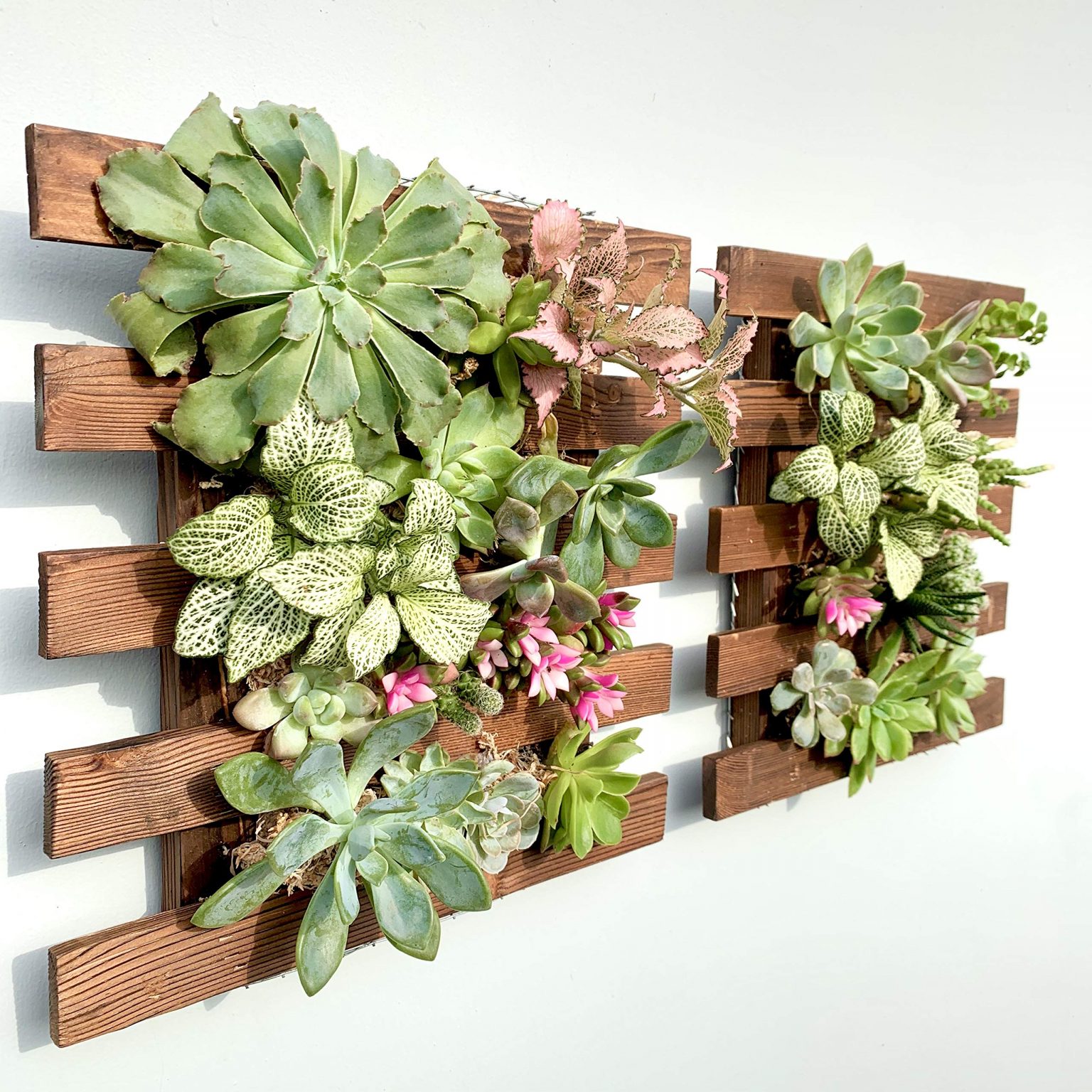 Enhancing Your Living Space with a Beautiful Vertical Garden