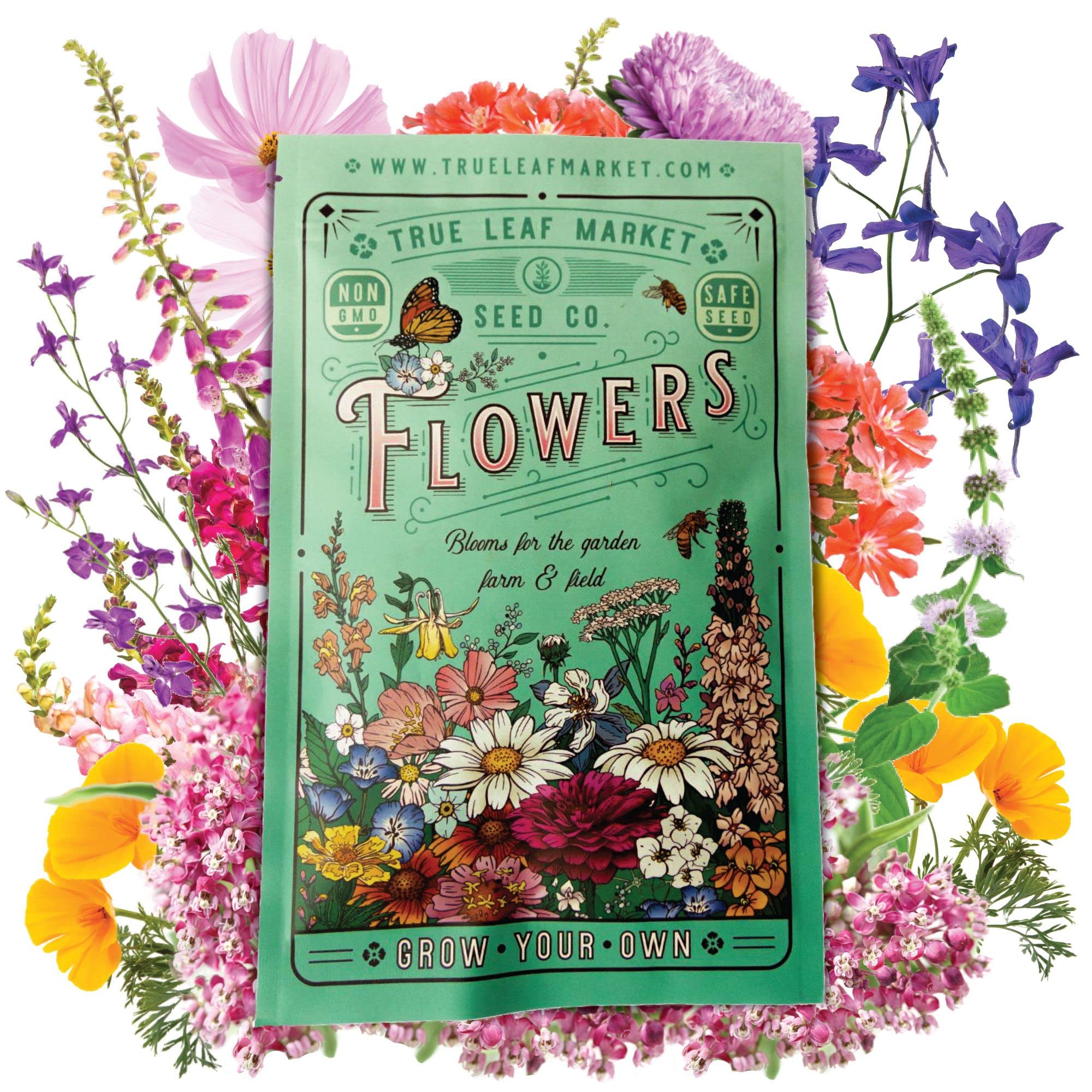 The Beauty of Bulk Flower Seeds: A Guide to Abundant Blooms