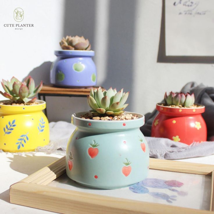 Bring Nature Indoors with Creative Plant Pots that Complement Your Unique Style