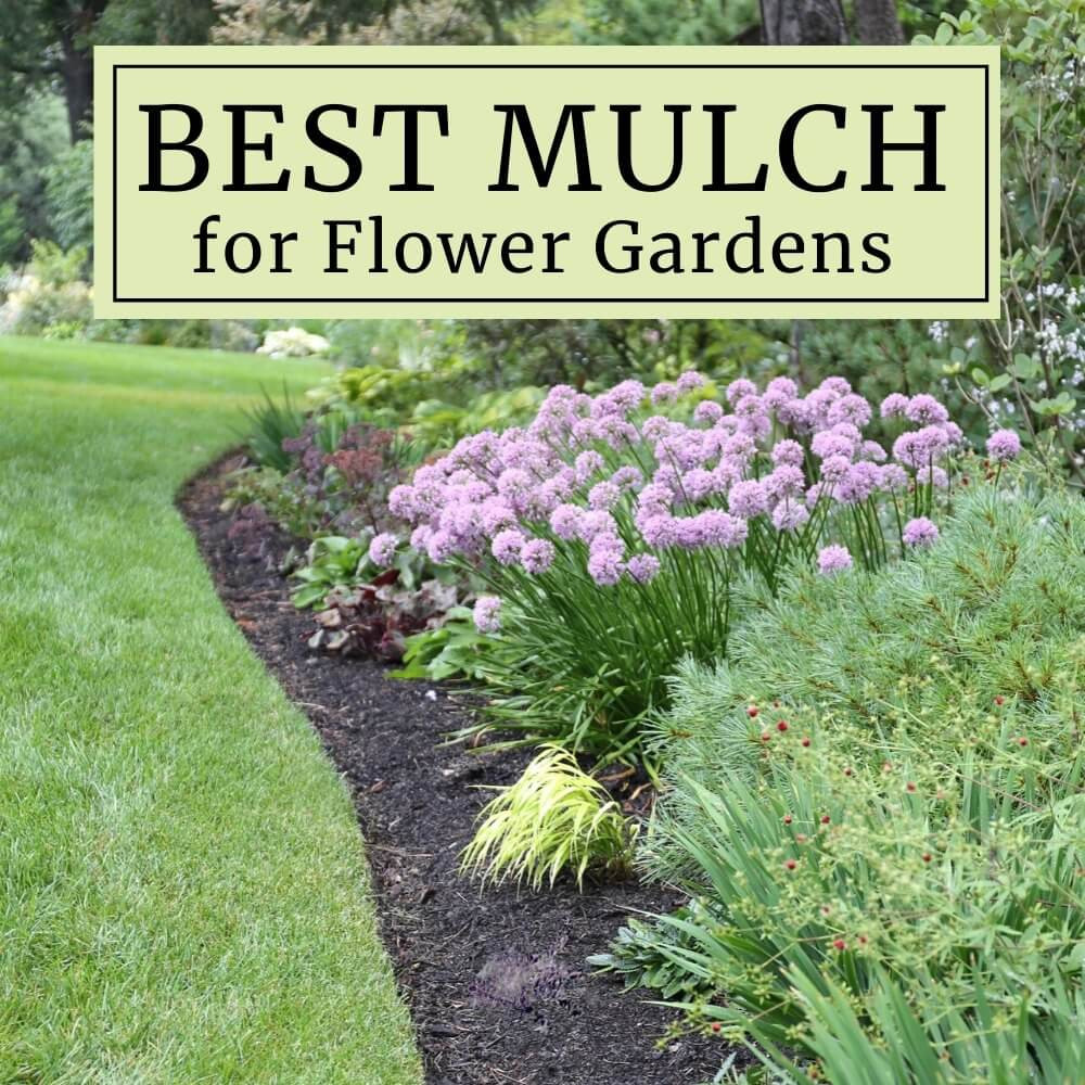 The Benefits of Using Organic Mulch for Vibrant Flower Beds