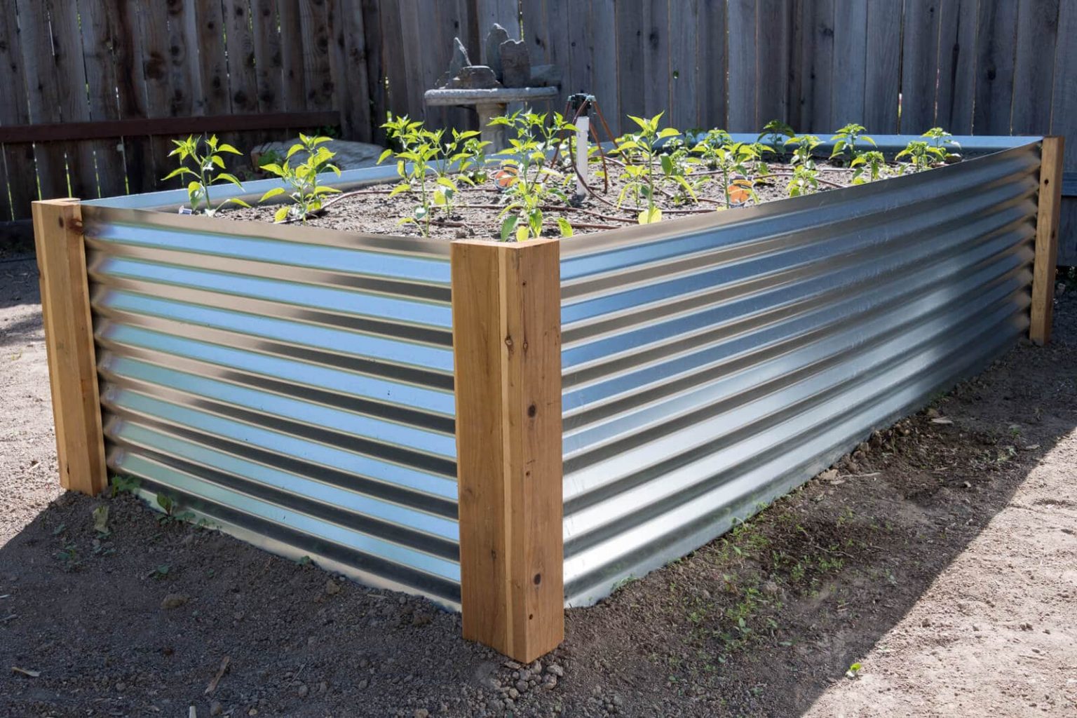 The Benefits of Using Galvanized Garden Beds: A Practical and Sustainable Solution