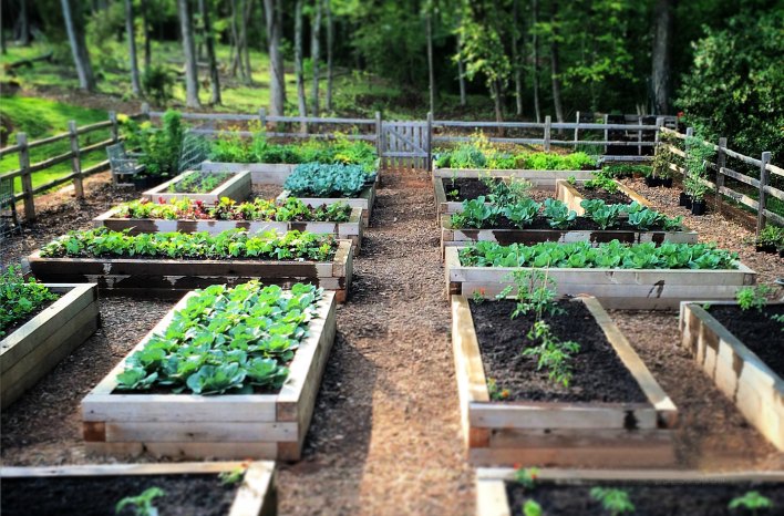 A Comprehensive Guide to Creating a Spacious Raised Garden Bed for Bountiful Harvests