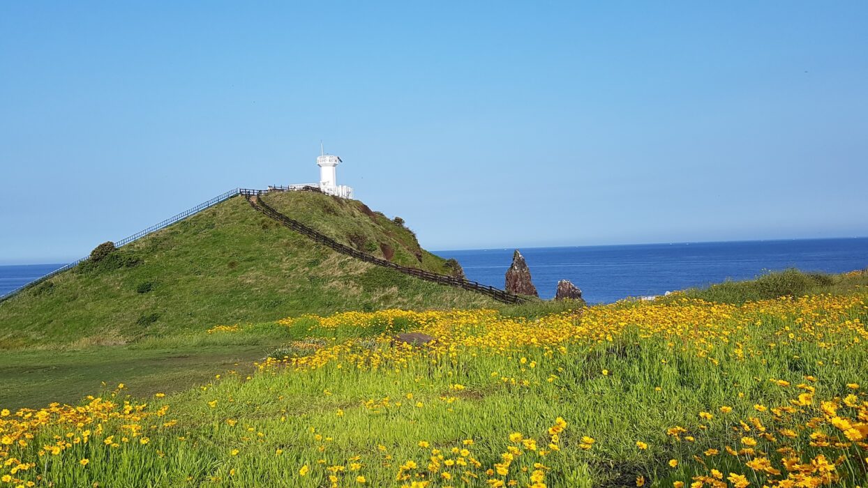 Serene Blossom Journeys: Delighting in Floral Excursions for Nature Enthusiasts