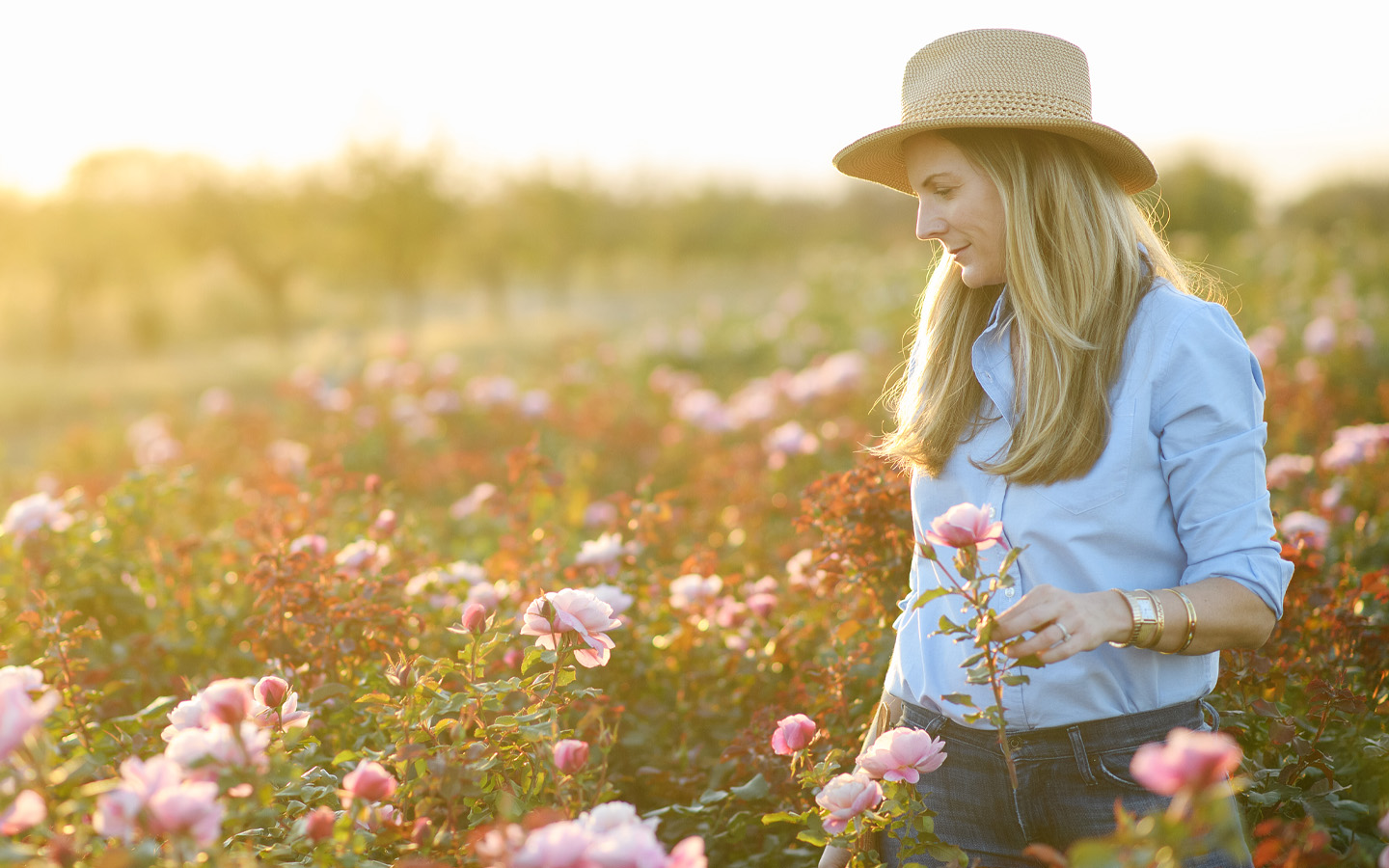 Blooming Beauties: A Reflective Journey through the World of Flowers