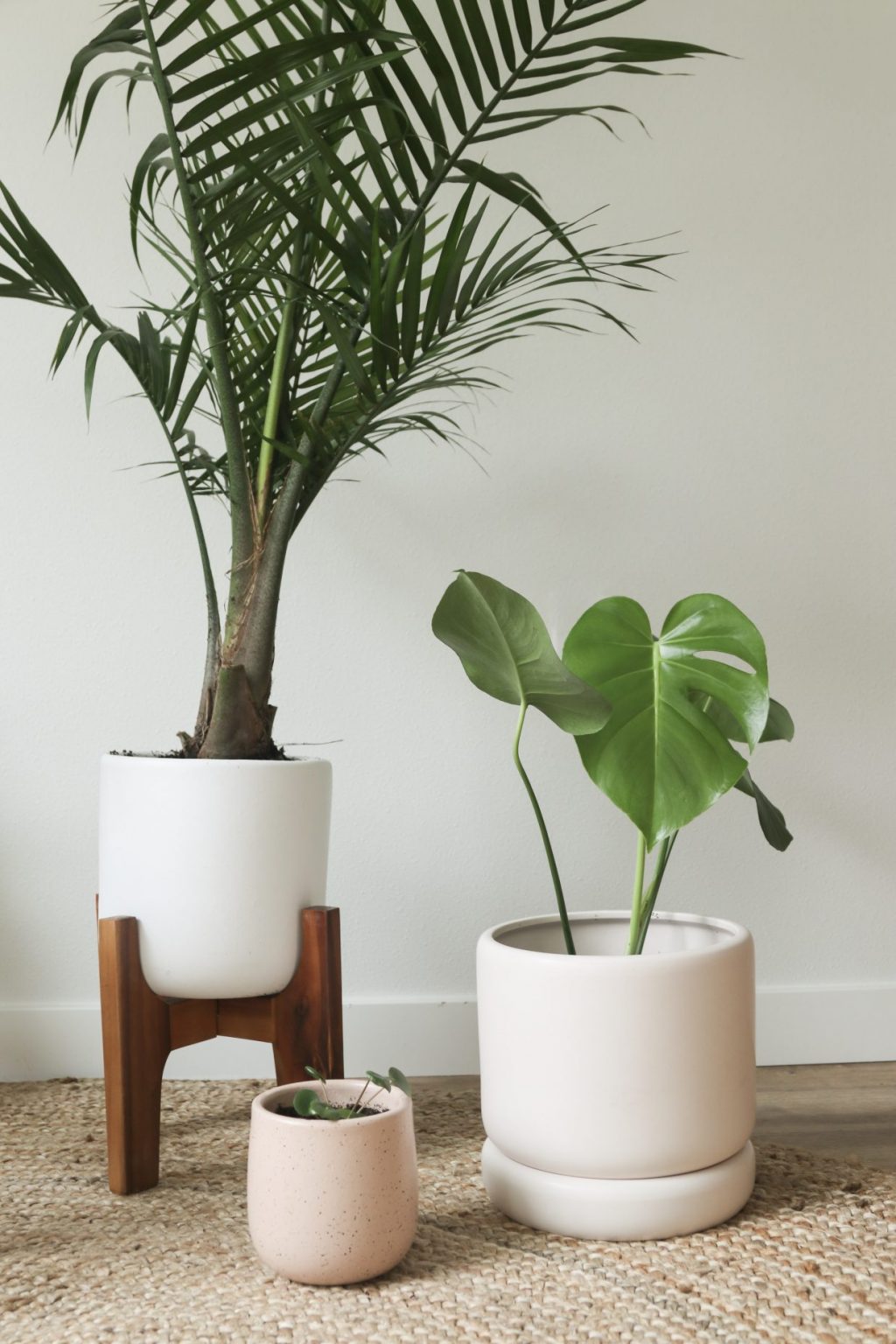 A Collection of Adorable Plant Pots to Add Charm to Your Indoor Garden