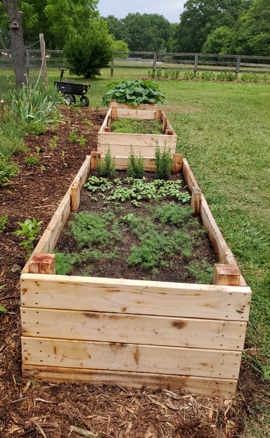 Creating Beautiful and Functional Garden Beds: A Comprehensive Guide