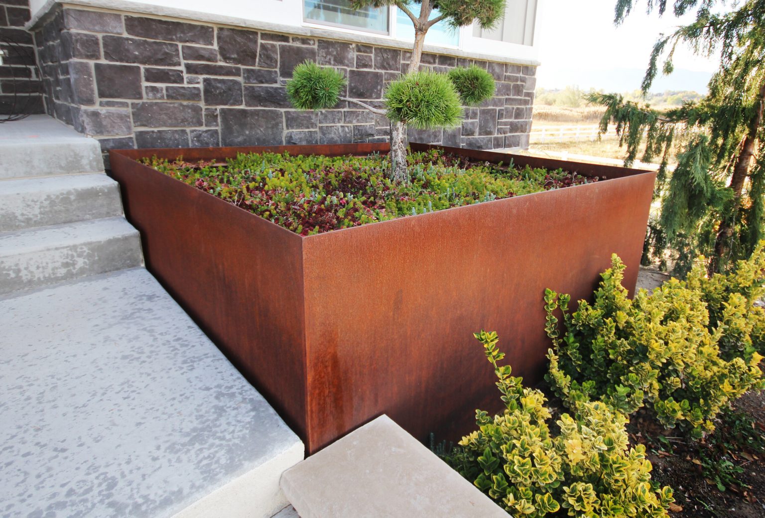 Enhancing Your Garden: Exploring the Beauty of Steel Planter Boxes