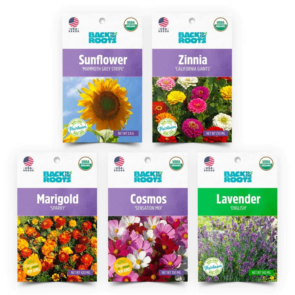 Exploring the Beauty of Flower Seed Packets: A Guide to Cultivating Colorful Blooms