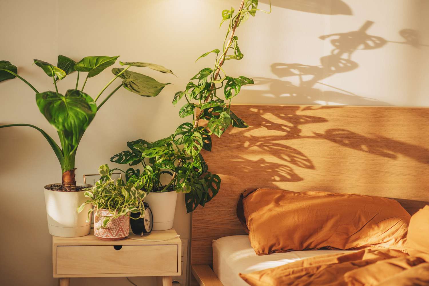 Your Bedroom with Beautiful Indoor Plants