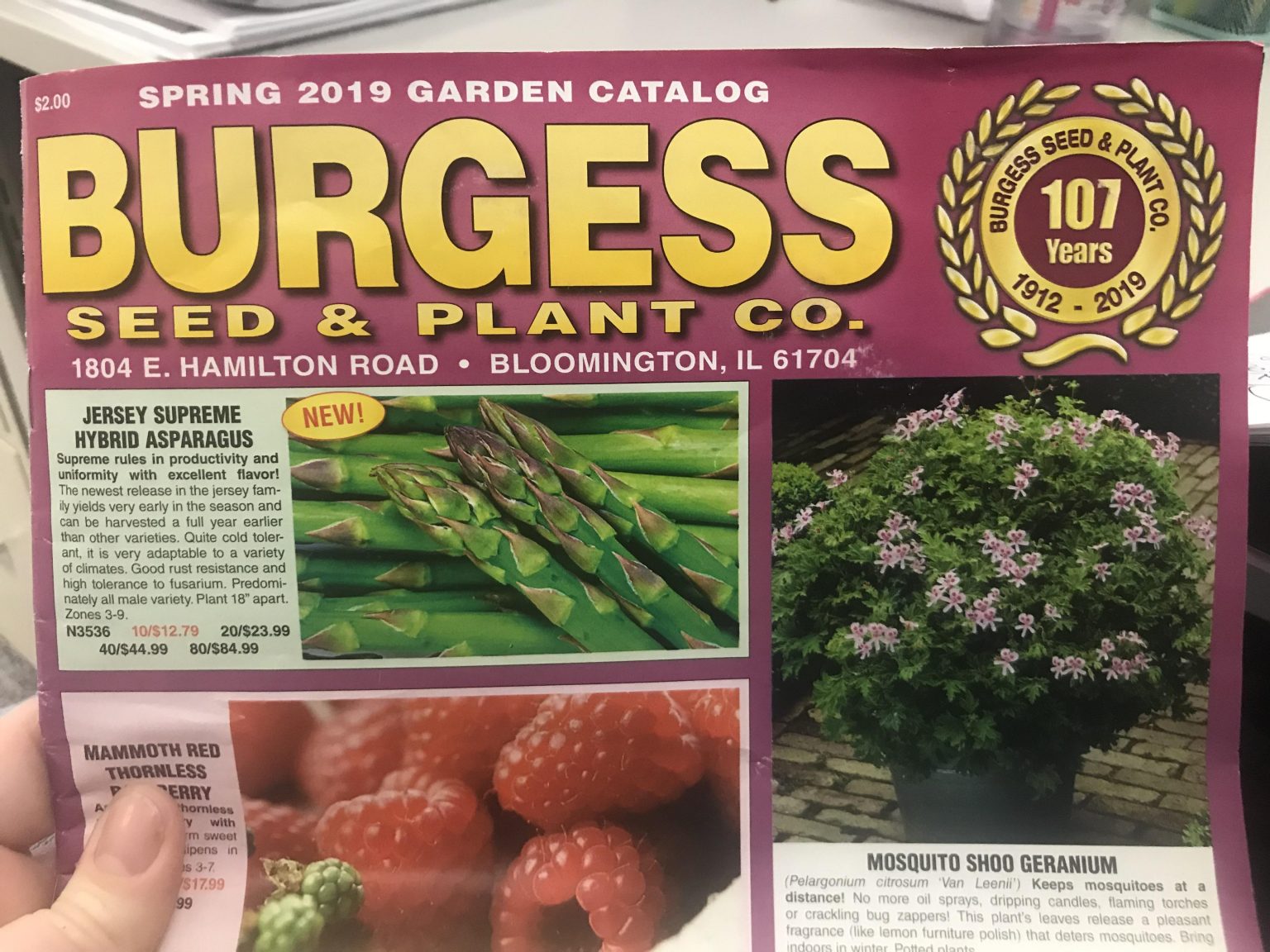 Blossoming Garden Delights: Exploring the Beauty of Burgess Seed and Plant