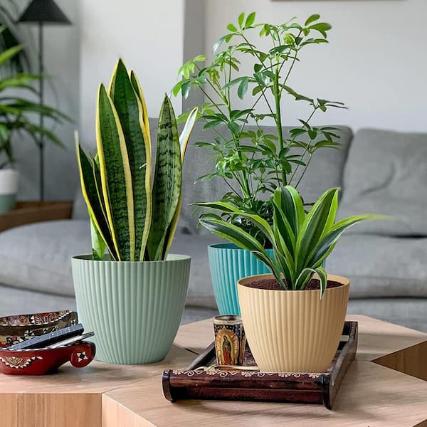 Enhance Your Indoor Gardening with Stylish Flower Pots