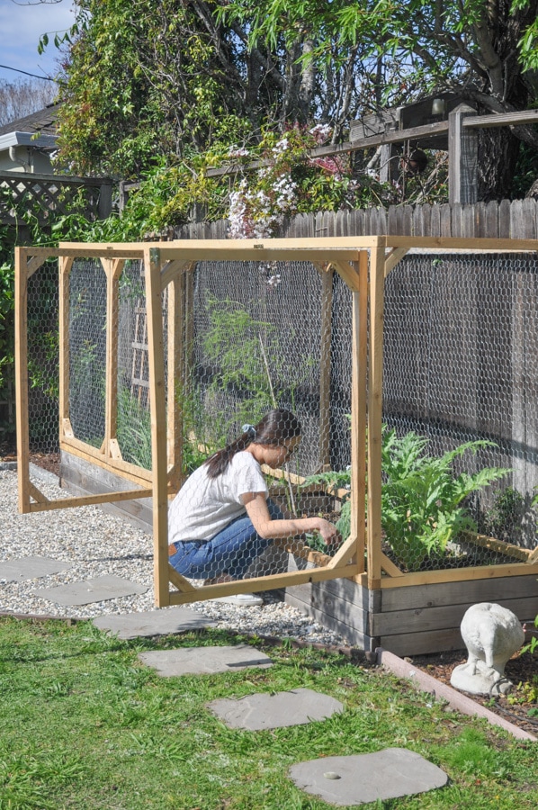 Protect Your Garden Beds with this Easy-to-Use Cover Solution