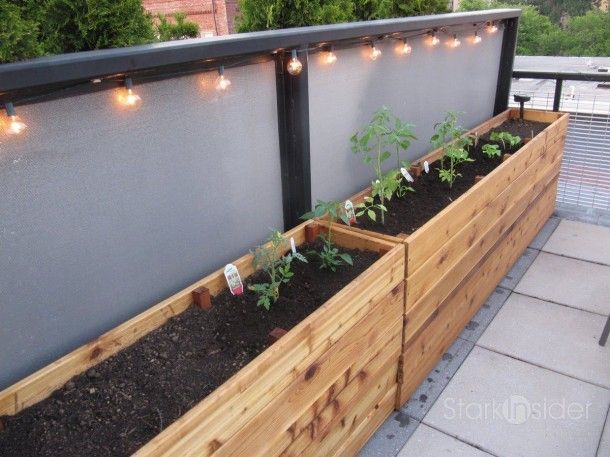 The Complete Guide to Choosing the Perfect Vegetable Planter for Your Garden