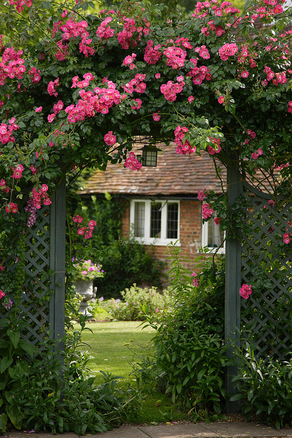 Enhance Your Garden with Beautiful Flower Trellis Designs