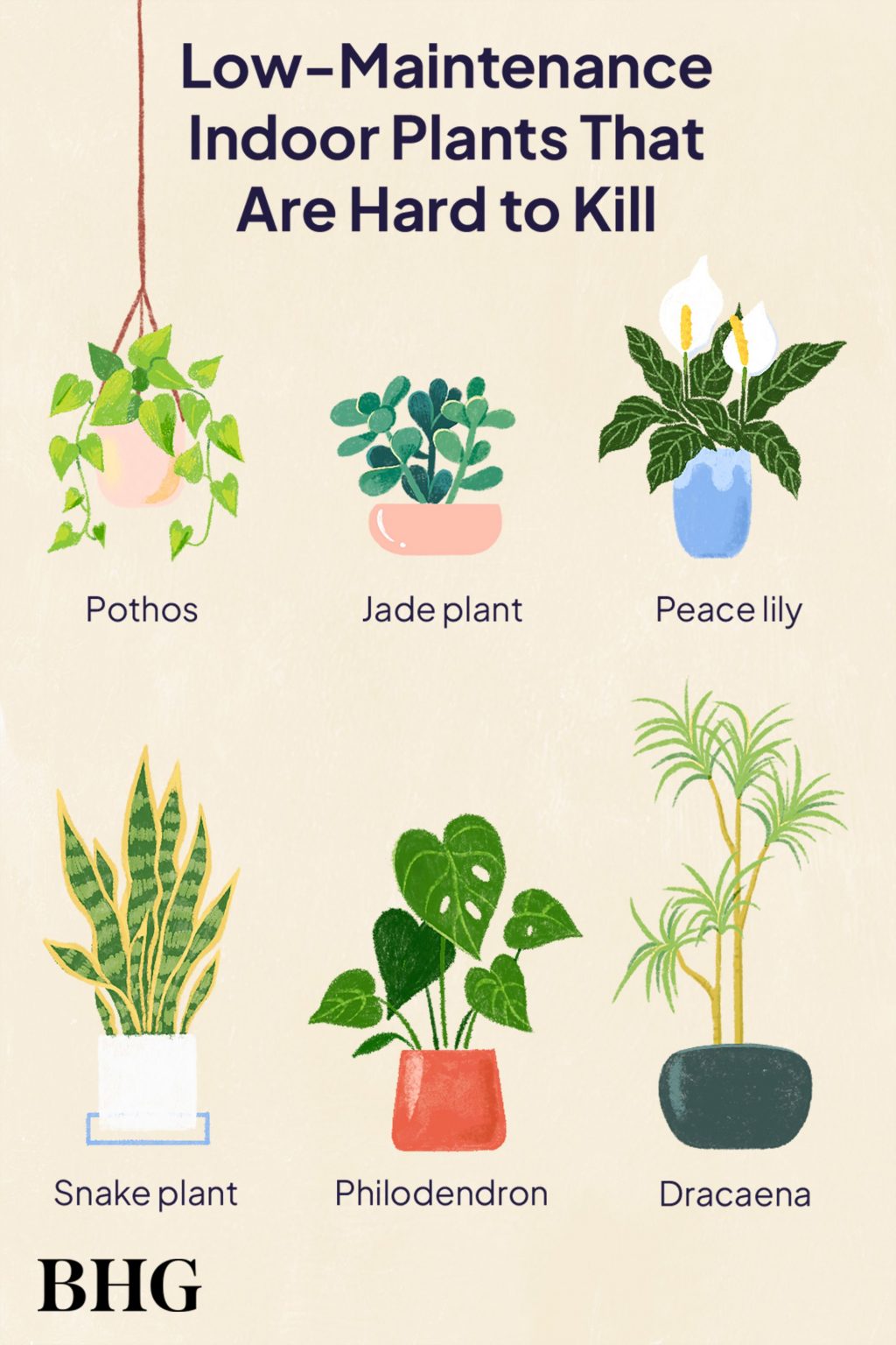 The Perfect Low Maintenance Plants for Easy Gardening