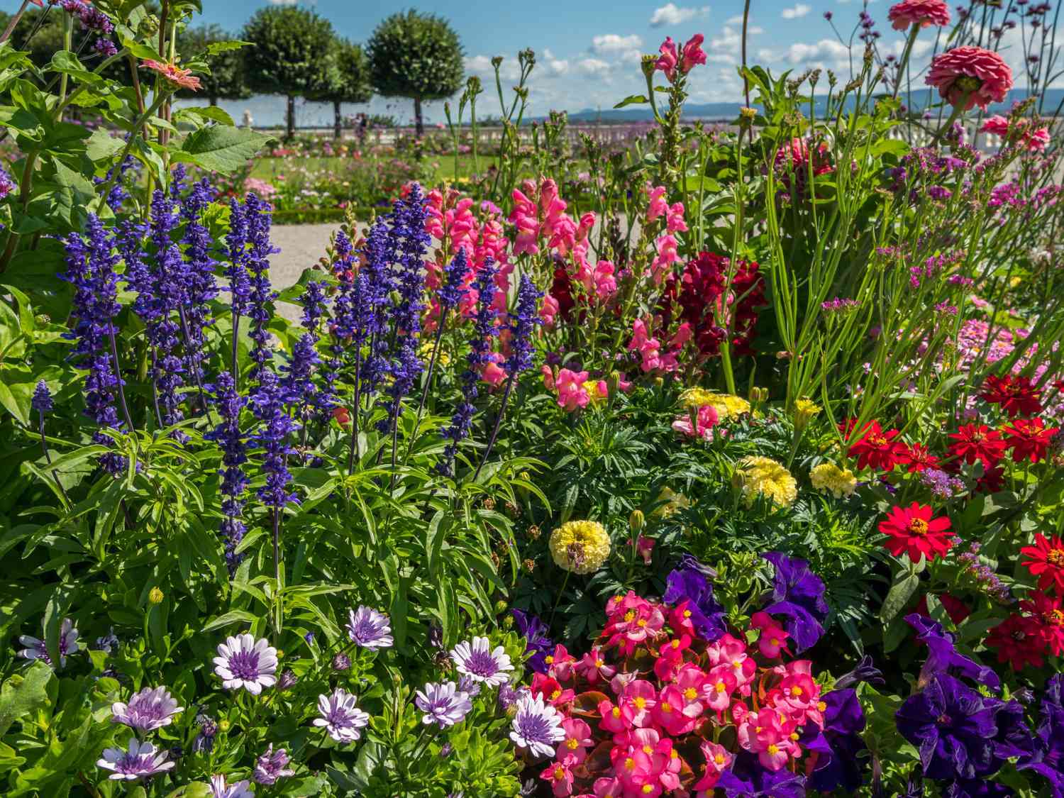 Easy-care Outdoor Plants: Enhance Your Garden with Low Maintenance Beauties