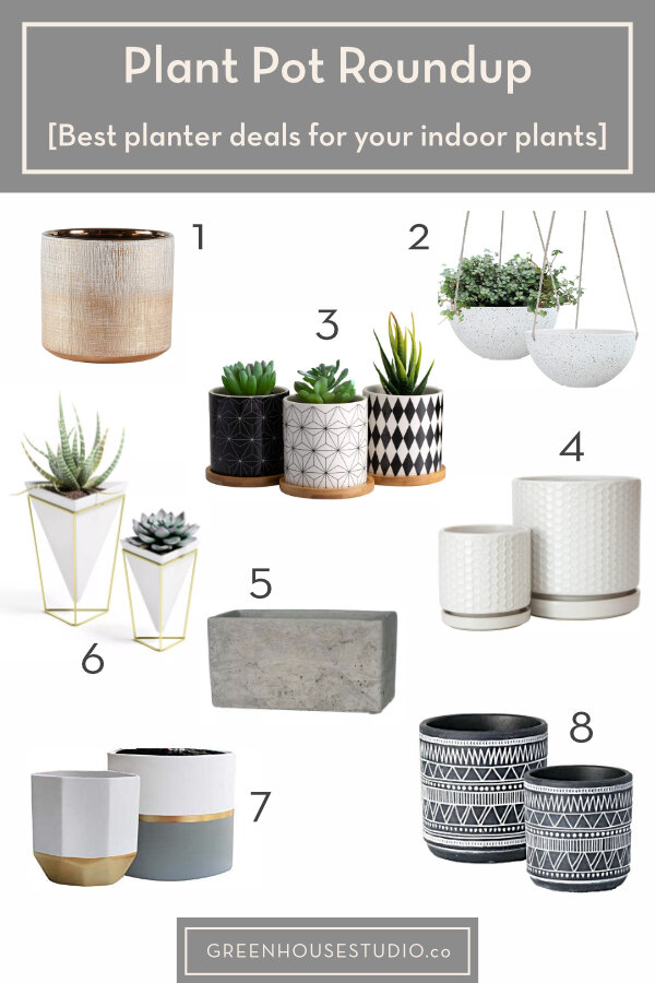 The Perfect Home for Your Plants: A Guide to Choosing the Right Planters