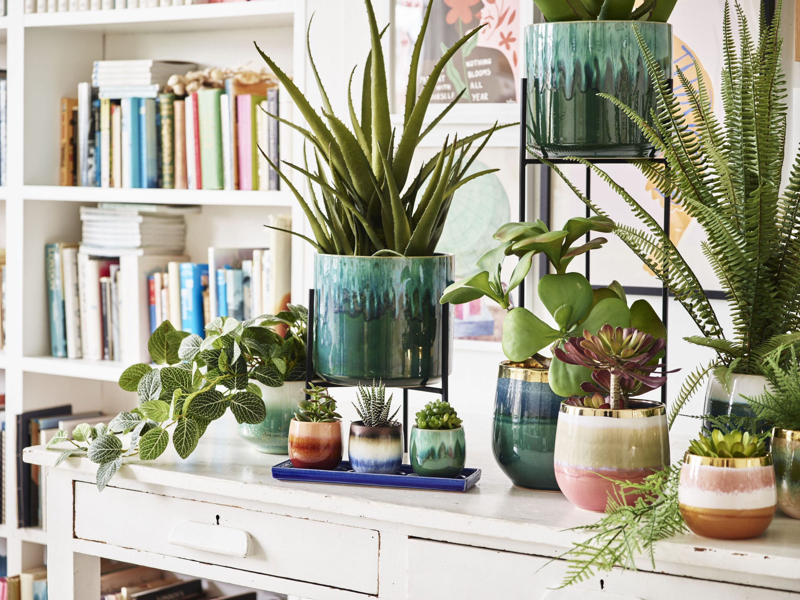 The Perfect Home for Your Indoor Greenery: A Guide to Choosing Stylish Plant Pots