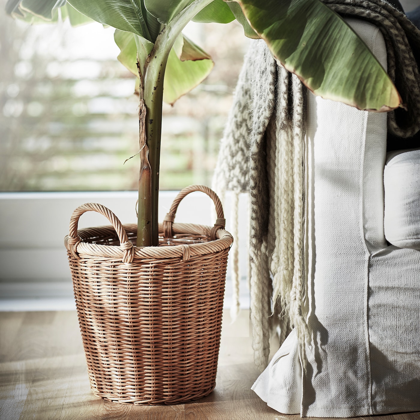 Aesthetic Appeal and Eco-Friendliness Combined: Exploring the Beauty of Wicker Plant Pots