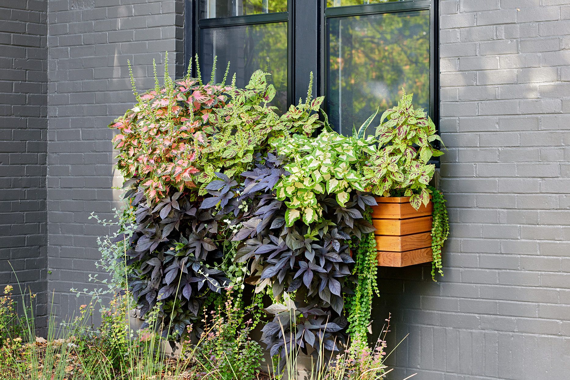 A Guide to Enhancing Your Home with Beautiful Window Planters