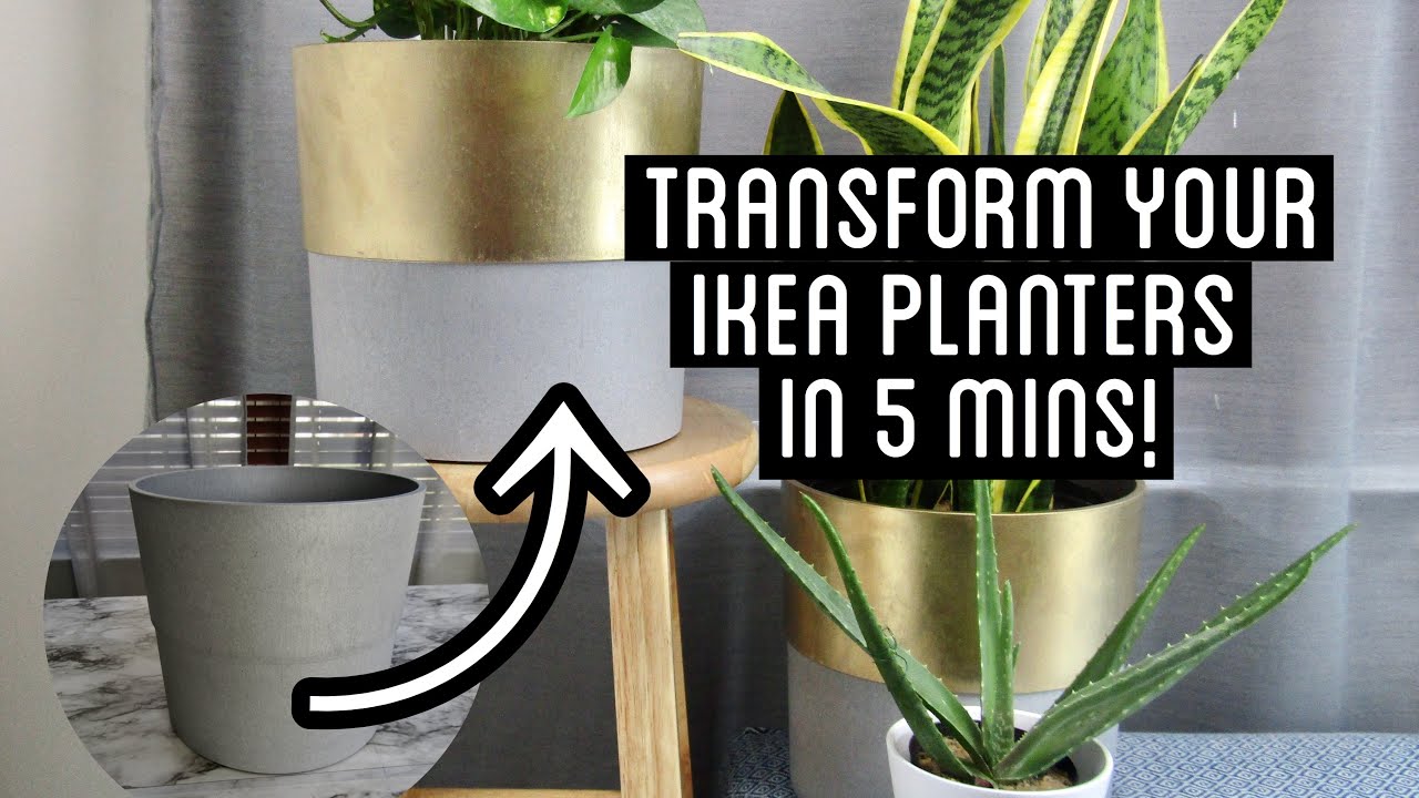 The Top Picks for Stylish and Practical Plant Pots by Ikea