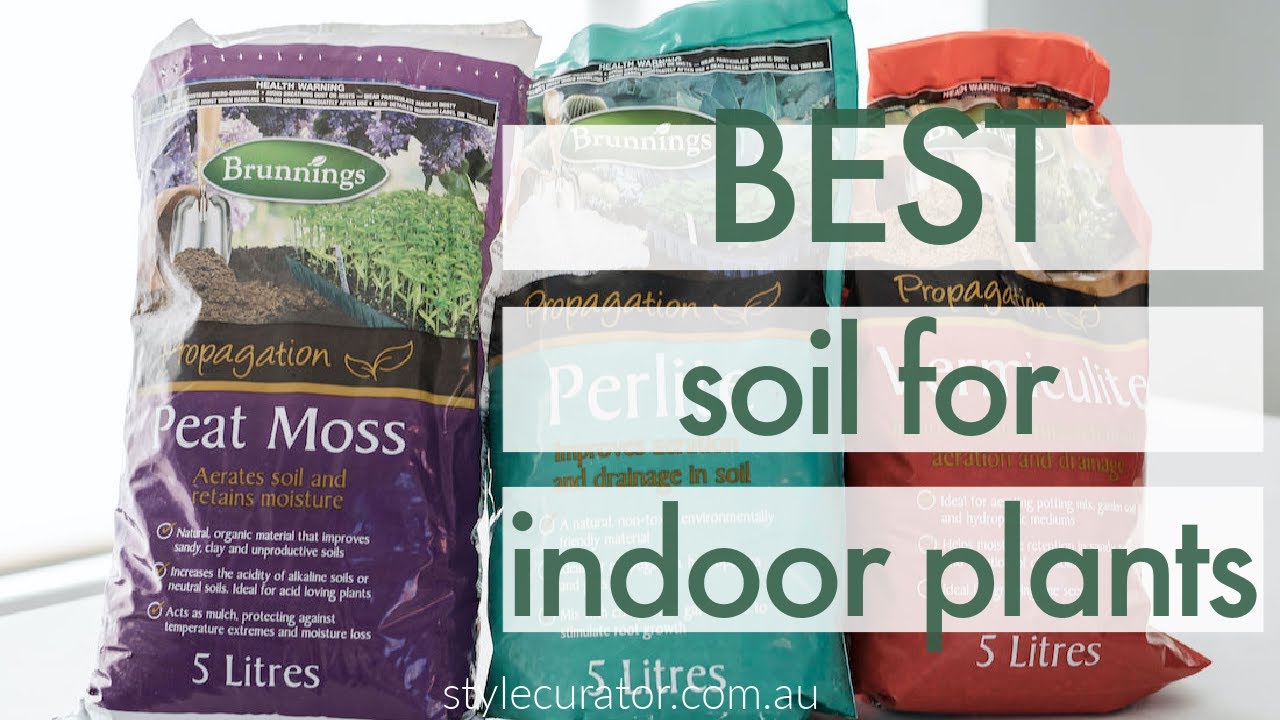 The Perfect Soil for Thriving Indoor Plants: A Comprehensive Guide