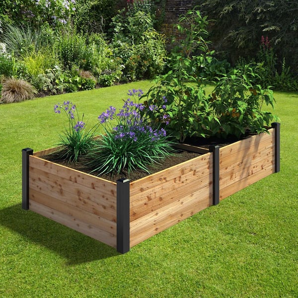 A Natural Approach to Building a Cedar Raised Garden Bed for Optimal Plant Growth