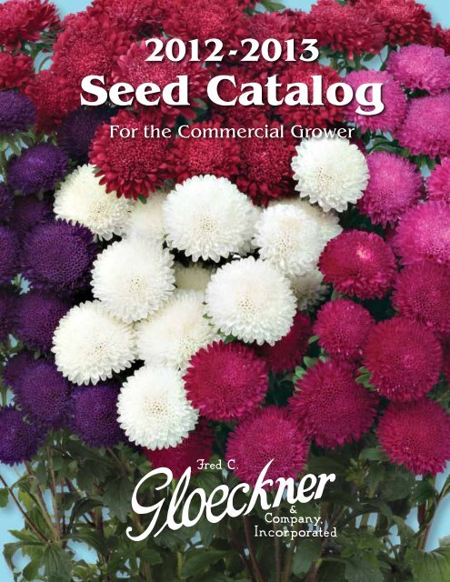 Enhance Your Garden with Snapdragon Flower Seeds: Exploring the Sonnet Series F1, Now Available in a Pack of 1000 Seeds