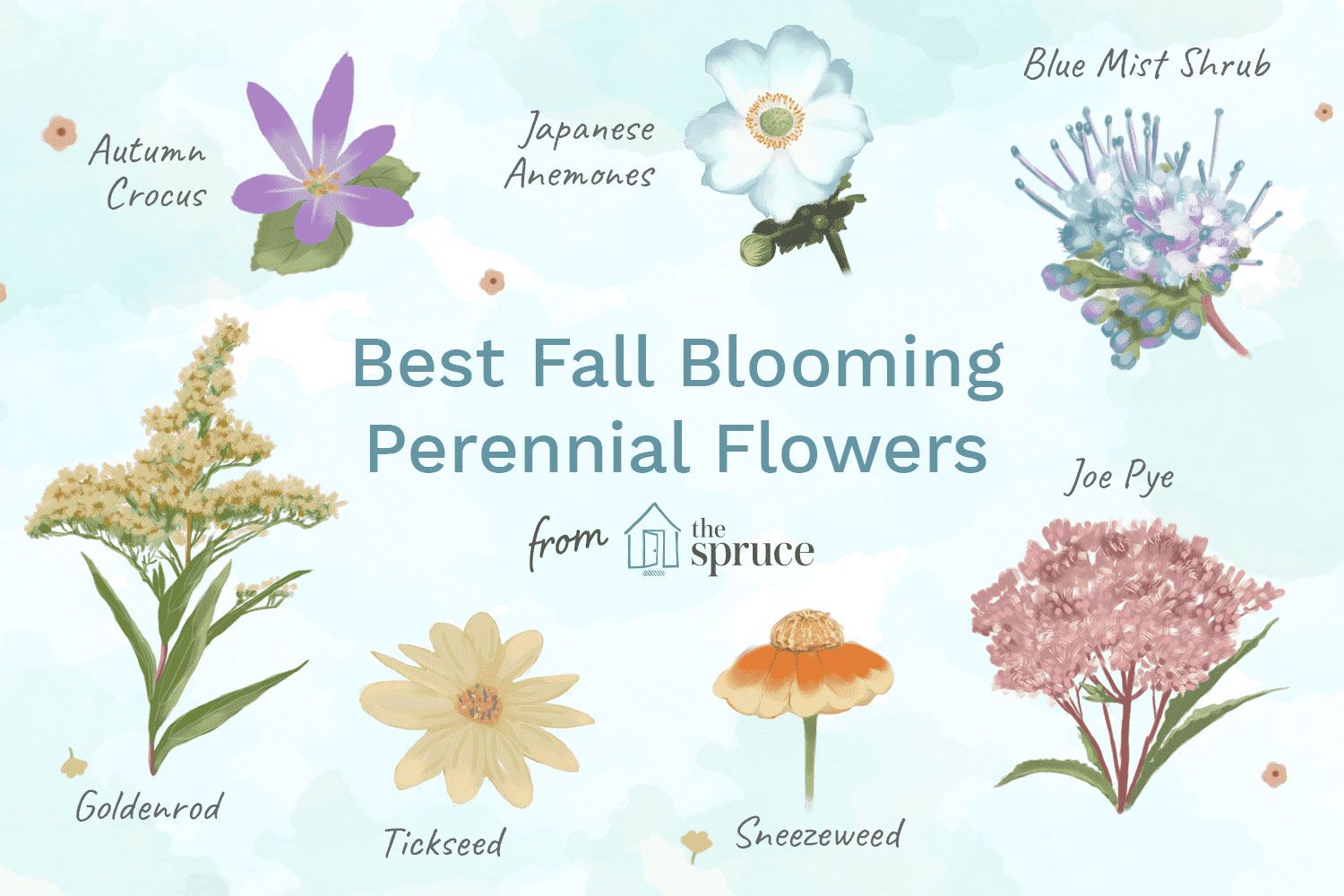 The Top Fall Flowers to Enhance Your Garden's Autumn Beauty