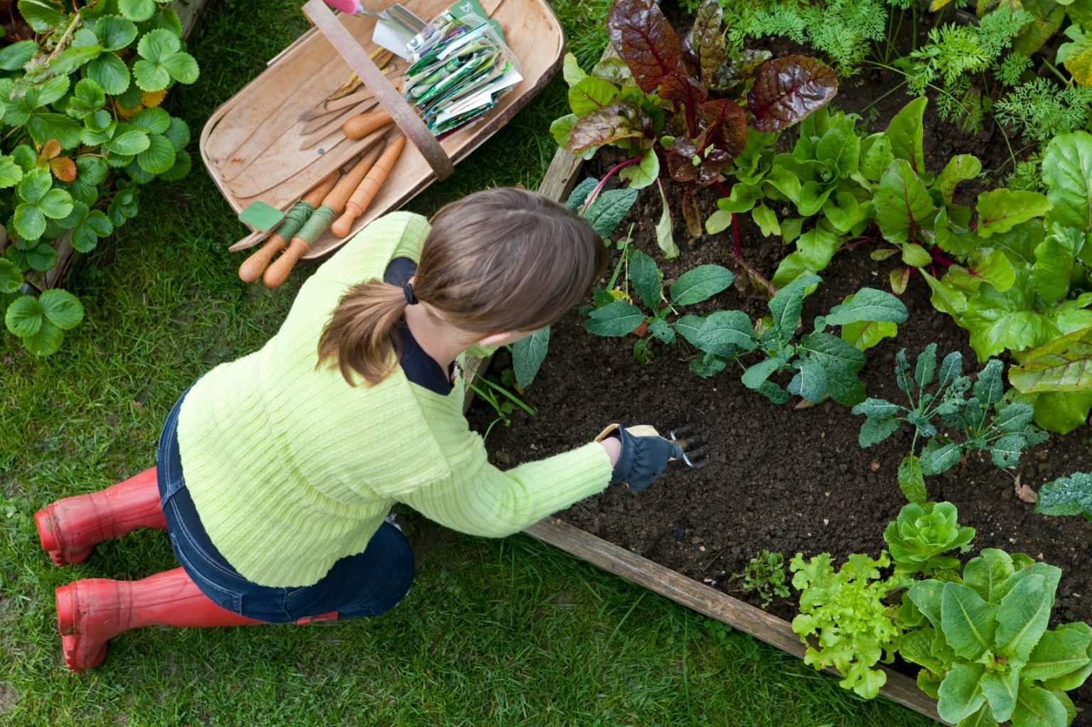 The Art and Science of Companion Planting: Selecting the Perfect Plants for Your Garden