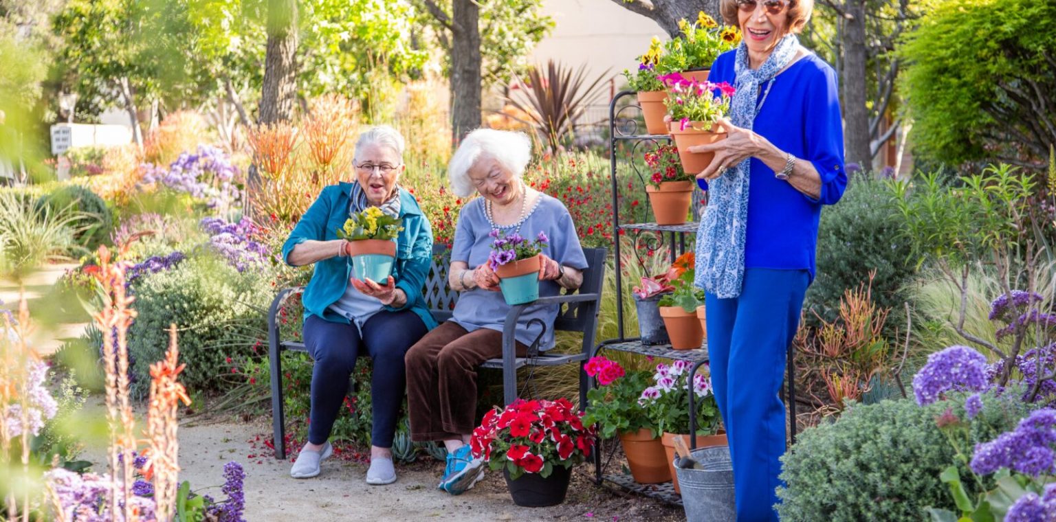 The Healing Power of Gardens: How Gardening Soothes the Mind and Body