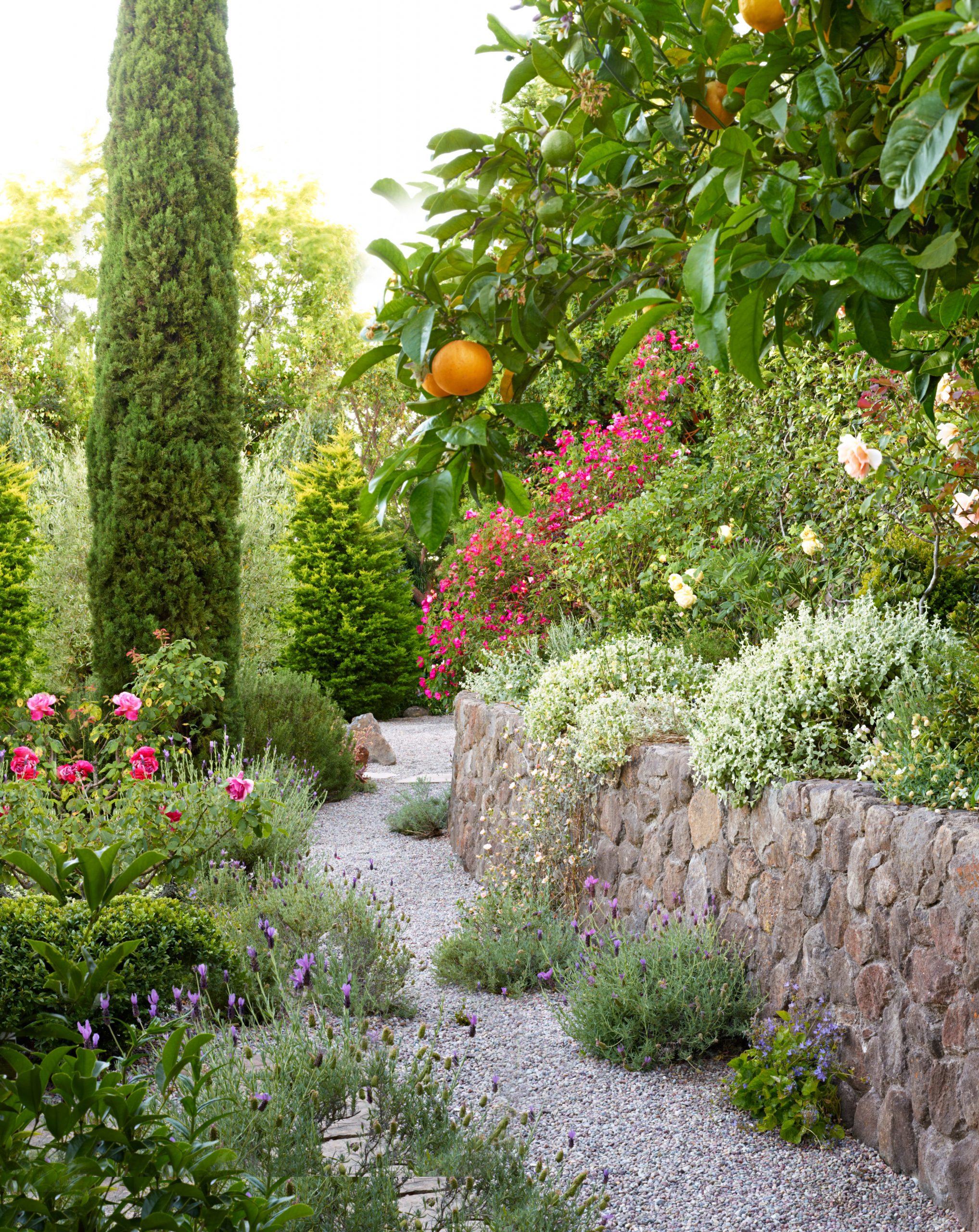 Creating a Tranquil Oasis: Inspiring Mediterranean Garden Landscaping Ideas