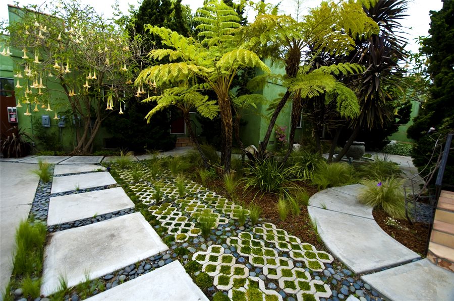 Creating an Environmentally-Friendly Garden: Tips for Designing a Sustainable Outdoor Space