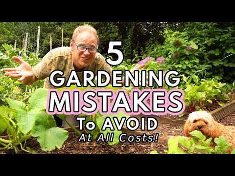 5 Essential Tips for a Successful Vegetable Garden