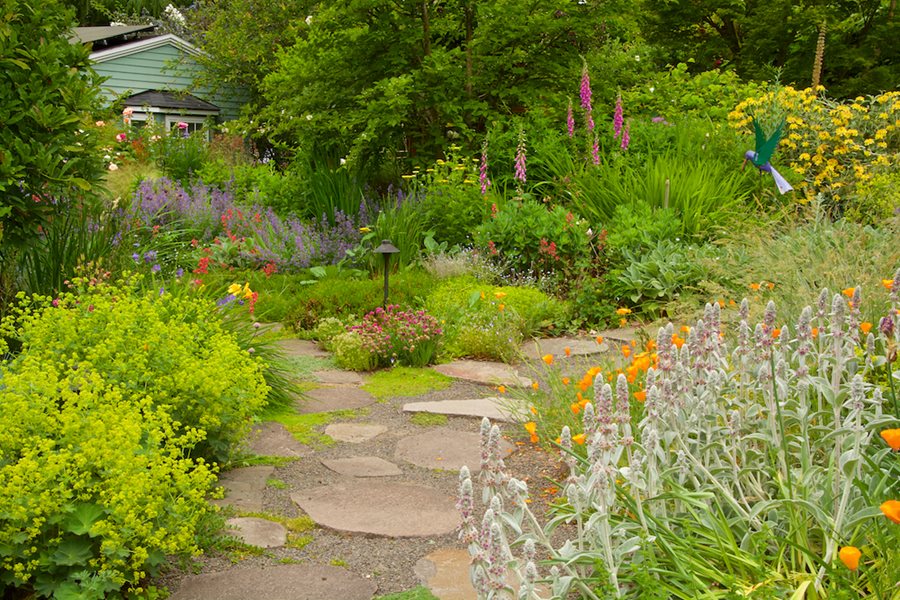 How to Cultivate a Stunning Garden with Native Plants: Practical Tips and Ideas