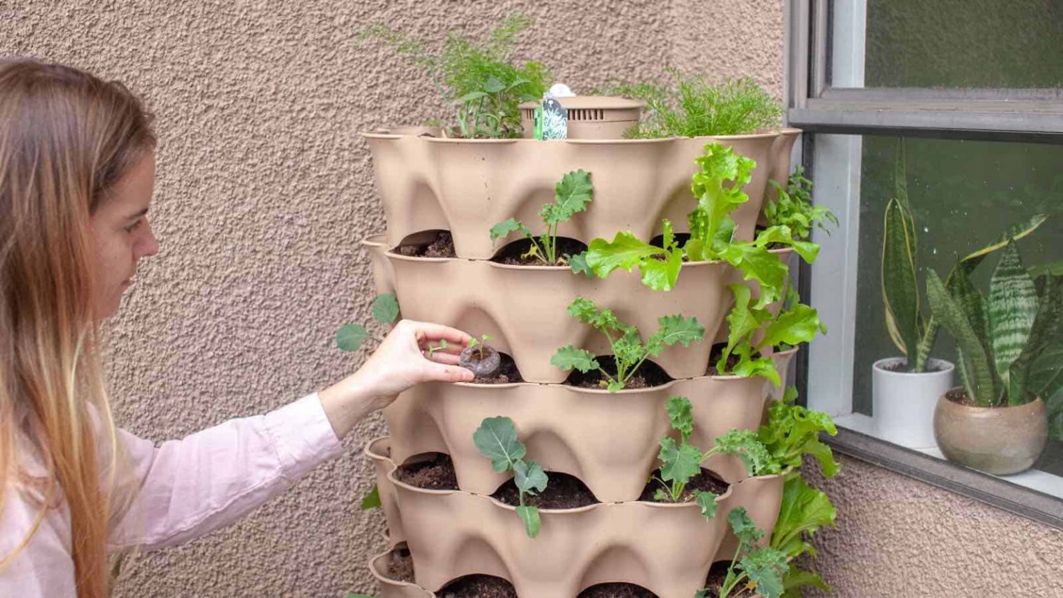 The Advantages of Vertical Gardening: Effective Space Utilization Strategies