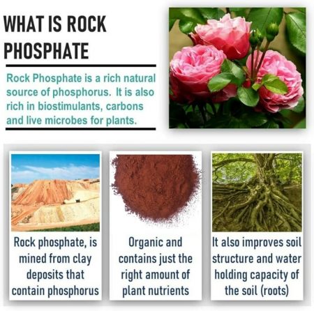 Natural Phosphate Sources for Organic Gardening: Enhance Your Soil Health Naturally