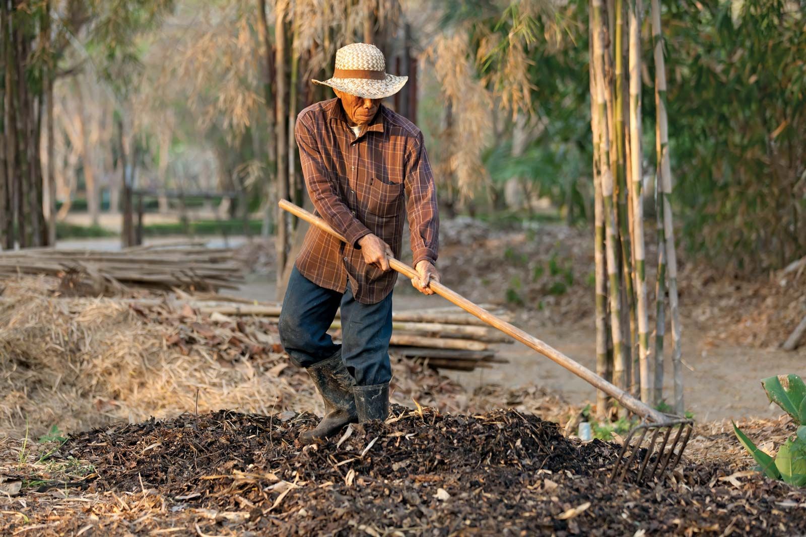 Understanding the Benefits and Practices of Organic Gardening and Farming