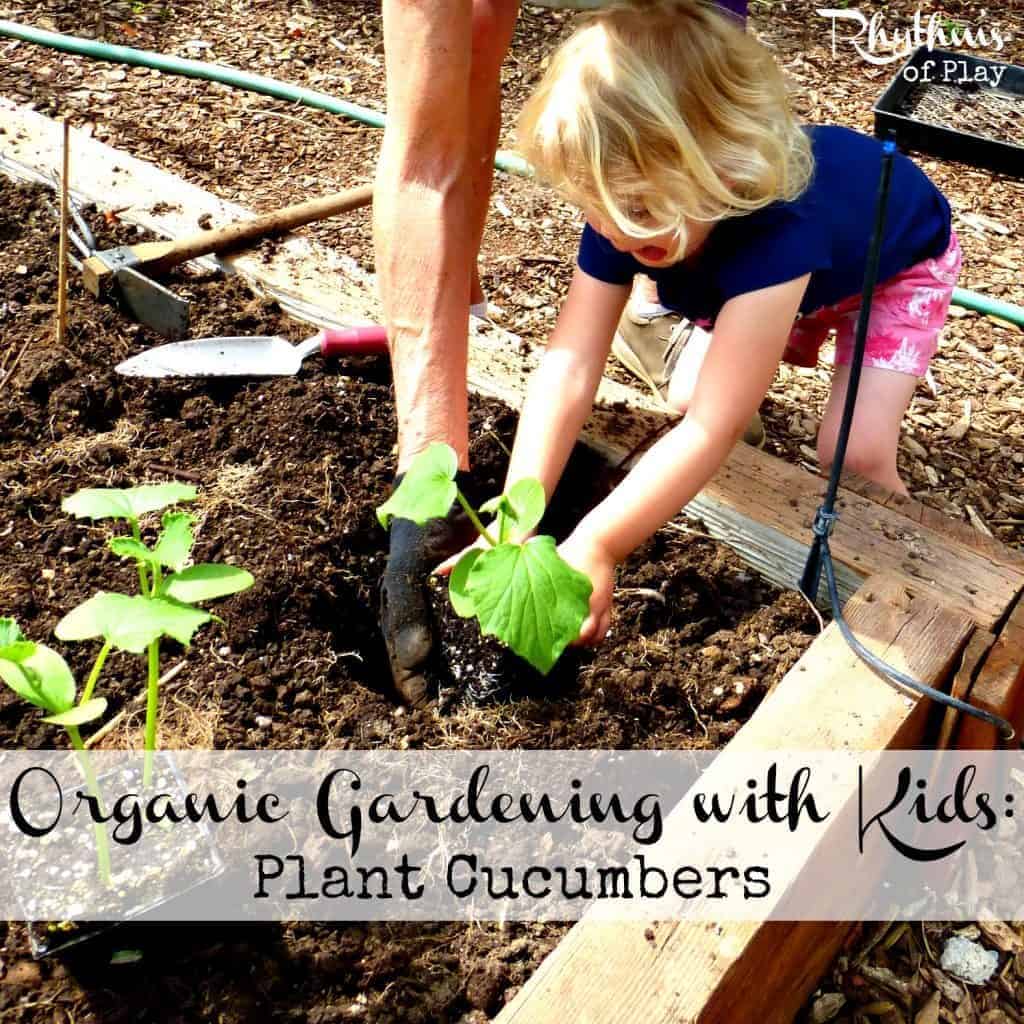 Introduction to Organic Gardening for Kids: Fun Ways to Grow Green Thumbs